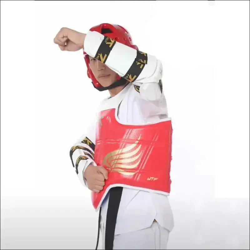 Taekwondo Protectors Suite - Helmet Chest Shin Arm Guards for Kids - 5-Piece - Kids