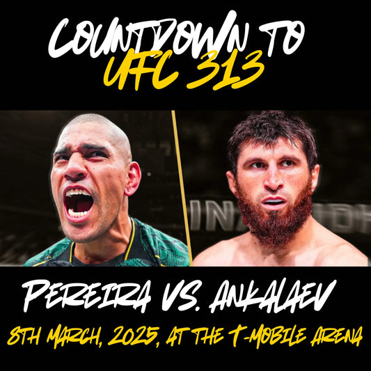 UFC 313 Pereira VS Ankalaev