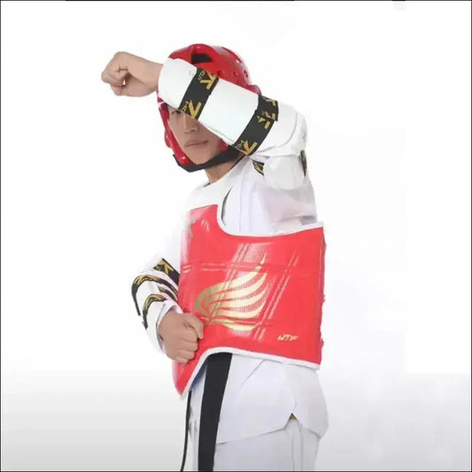 Taekwondo Protectors Suite - Helmet Chest Shin Arm Guards for Kids - 5-Piece - Kids